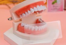 The Role of Training and Support in Onuge Secret Strips’ Success