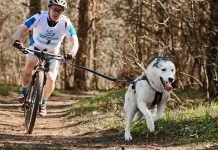 What Are the Maximum Advantages of Glutathione?